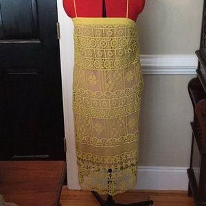 Greylin sz md lace dress